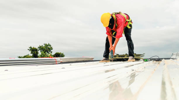 Steel Roofing in Lakesite, TN